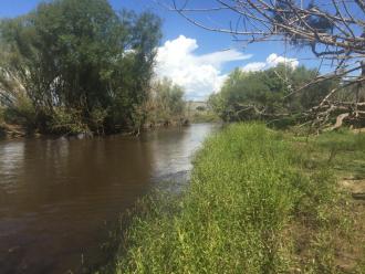 upstream