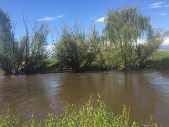 cross stream