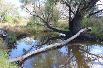 Down stream