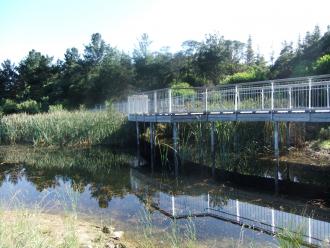 reeds of d ifferent types .testing site