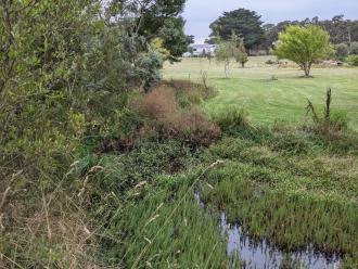 Five Mile Creek  Reserve Upstream