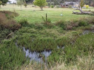 Five Mile Creek Reserve