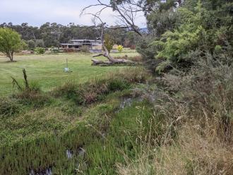 Five Mile Creek Reserve Downstream