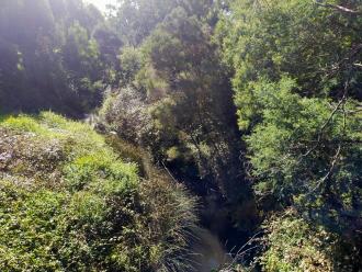 View from bridge looking north