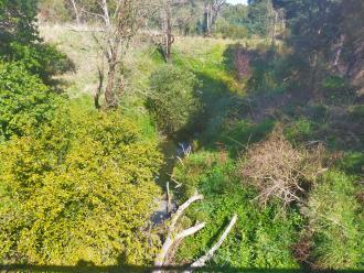 View from bridge looking south