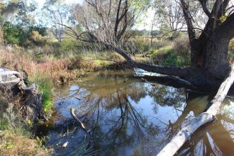 Down stream
