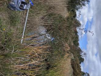 upstream
