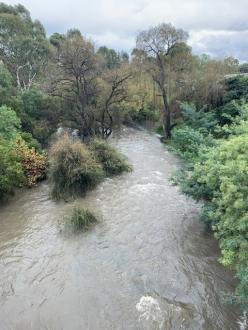 view from suspension bridge