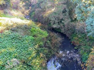 View from bridge looking north