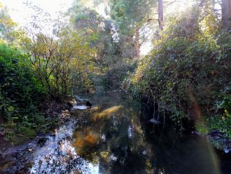 View under bridge looking north