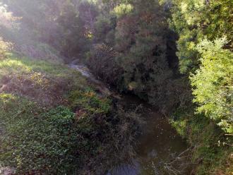 View north from bridge