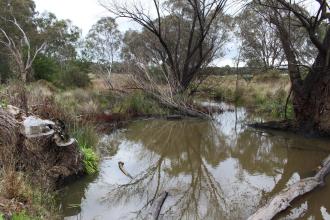 Down stream