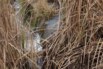 Showing water flow