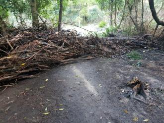 Flood debris washed onto Wirilda Track