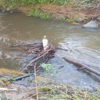 lots of debris after recent minor flooding 