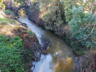 View looking north from bridge