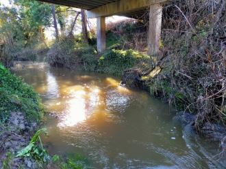 View looking north under bridge