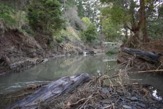 New waterhole carved from flood