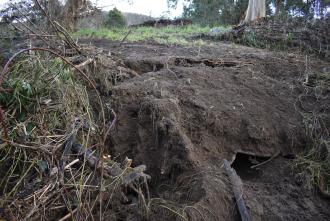 Bank erosion