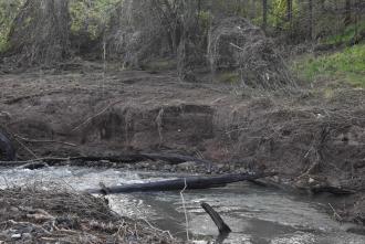 Bank Erosion