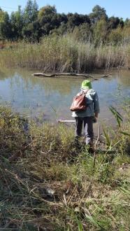 Very shallow at the creek edge