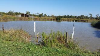 Very low water level