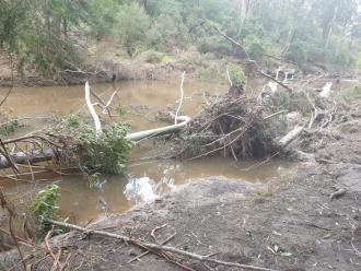 Sample point flood and tree damage