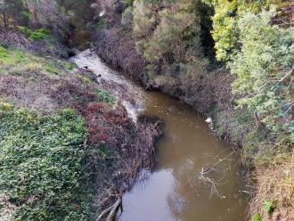 View from bridge looking north