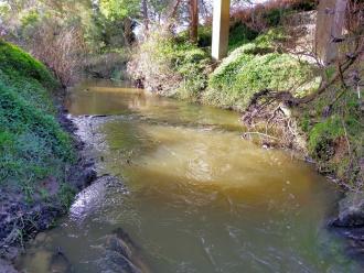 View looking north under bridge