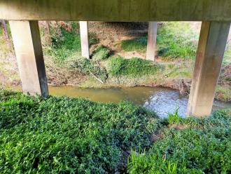 View under brodge looking east