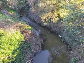 View looking north from bridge.