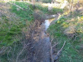 View looking south from bridge.