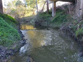 View looking north under bridge.