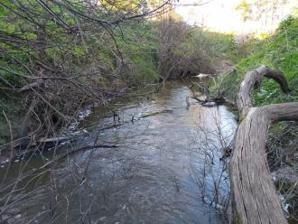 View looking south under bridge.