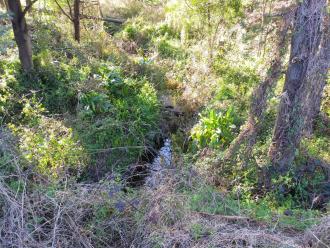 View looking east (up stream)