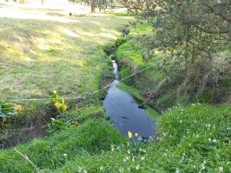 View looking west (downstream)