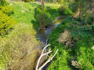 View south from bridge