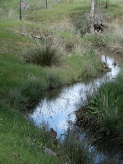 taken on 11/09/2021; culvert 500m south of Stewarts Lane