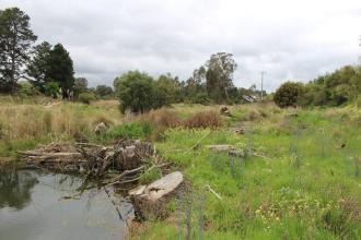 Up stream