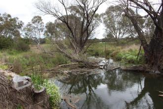 Down stream