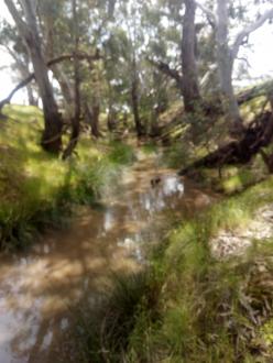 Upstream of bridge