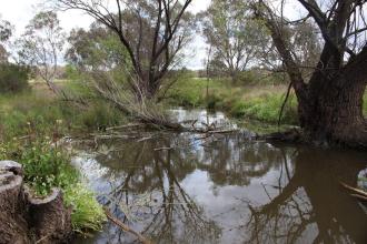 Down stream