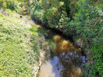 View looking north from bridge