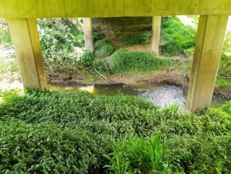 View looking east under bridge