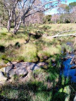 upstream looking west towards Lanjanuc