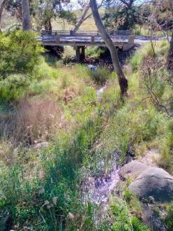 downstream looking east