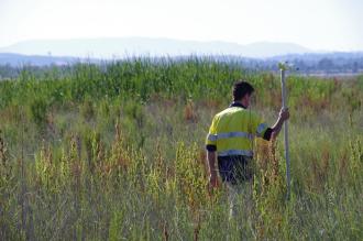 Luke (field officer) collecting sample.