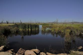 New photo point, looking west from the crossing on Boggy Bridge Road.