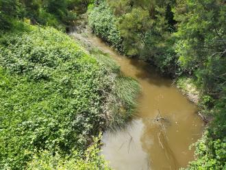 View from bridge looking north