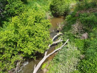 View looking south from bridge